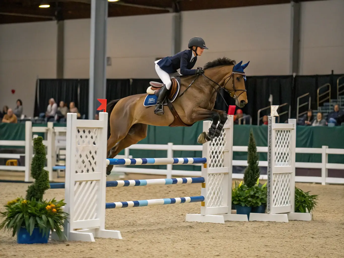 An image of advanced riders participating in a show jumping training session at EC-CEI, showcasing their skill and precision.