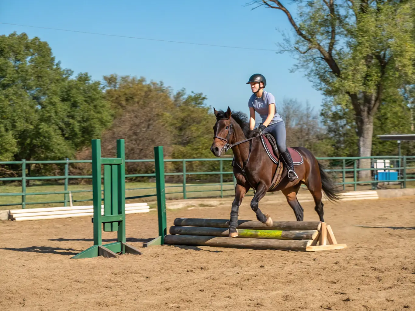 A young rider confidently guiding their horse through a series of jumps in a sunny, outdoor arena, showcasing the skill and precision developed through EC-CEI's training programs.